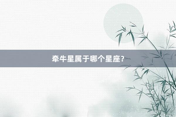 牵牛星属于哪个星座？