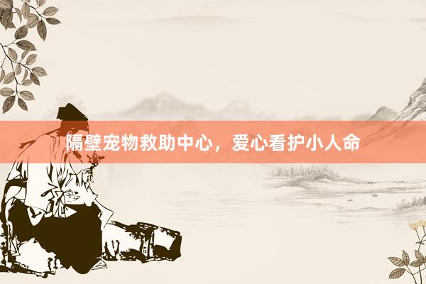 隔壁宠物救助中心，爱心看护小人命