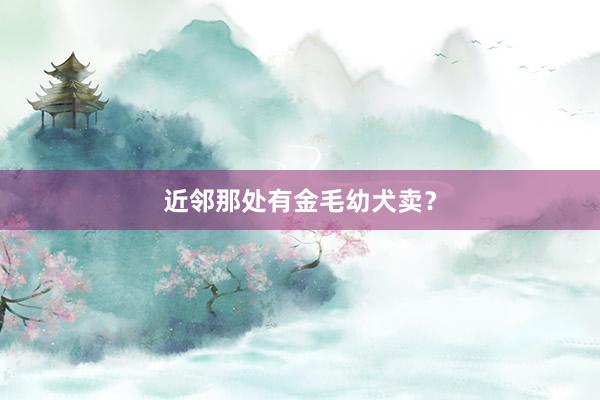 近邻那处有金毛幼犬卖?