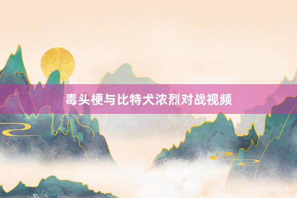 毒头梗与比特犬浓烈对战视频